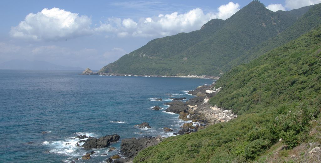 Promenade in Giappone: tra città e natura