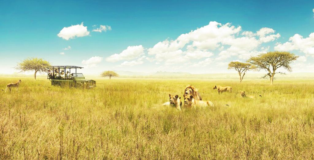 L'essenza del Sudafrica in tour
