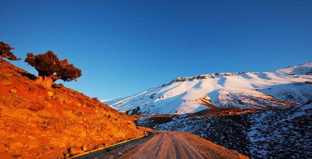 Dalla Medina di Marrakech alle Montagne dell'Atlante