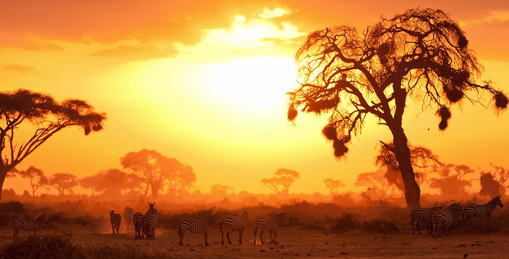 Tour tra il meglio del Kenya