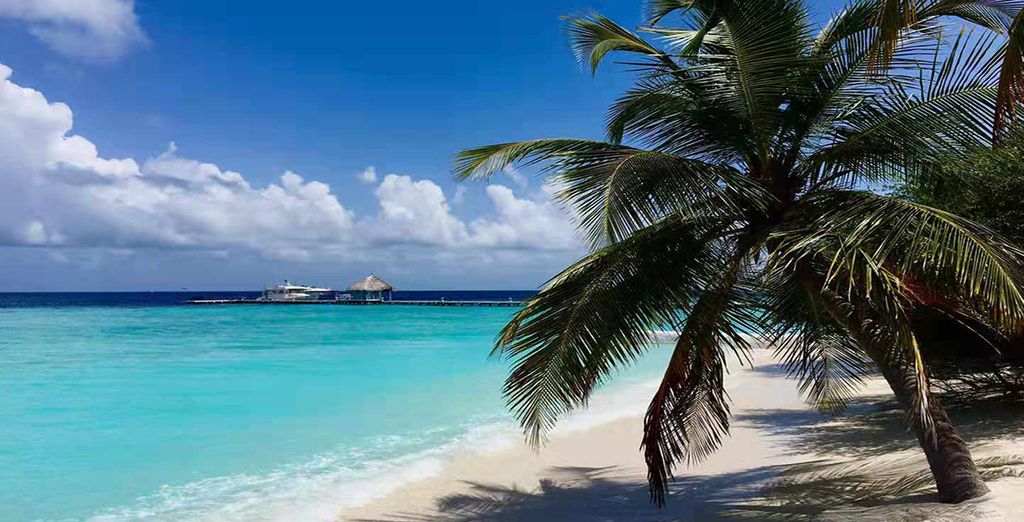 Tour privato dello Sri Lanka e soggiorno alle Maldive