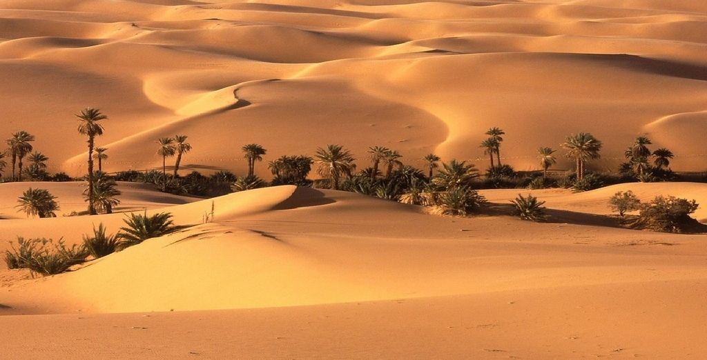 Grand Tour del Marocco e Kasbah