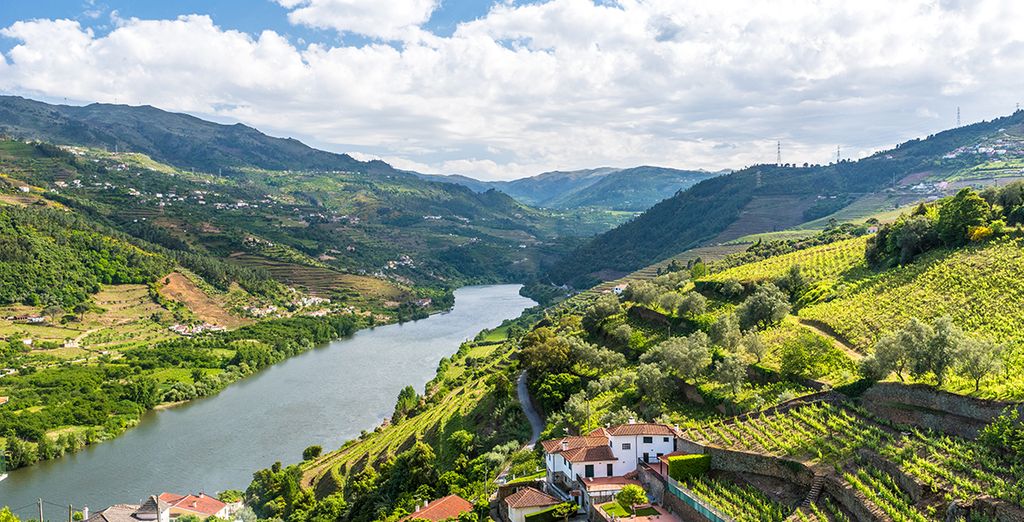 Fly & Drive Porto and Douro Valley