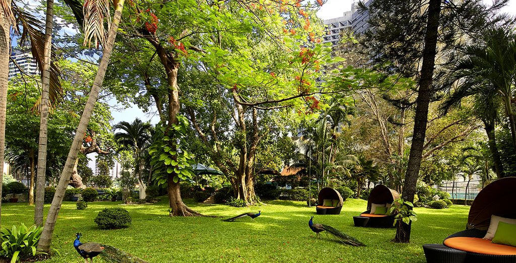 Sheraton Royal Orchid 5* & Sofitel Krabi Golf & Spa Resort 5*
