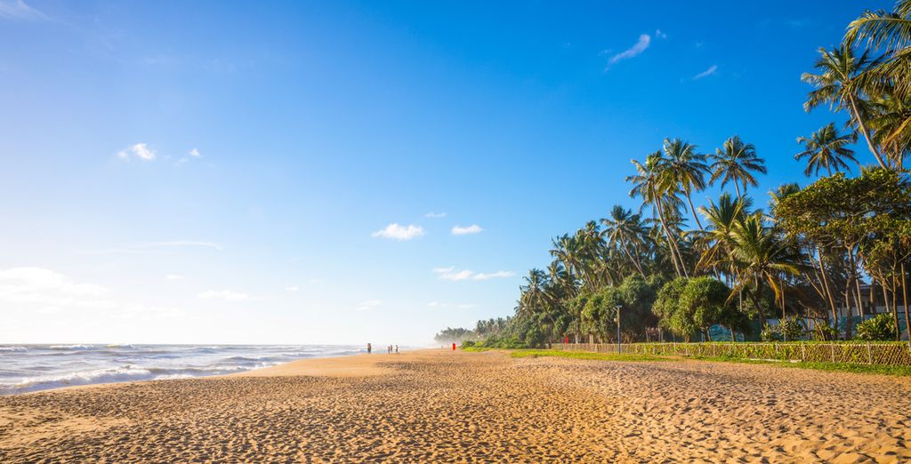 Tour Sri Lanka + Avani Kalutara Resort 4*