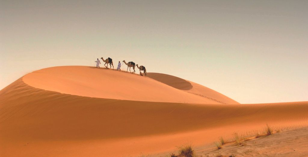 Abu Dhabi + Dubai