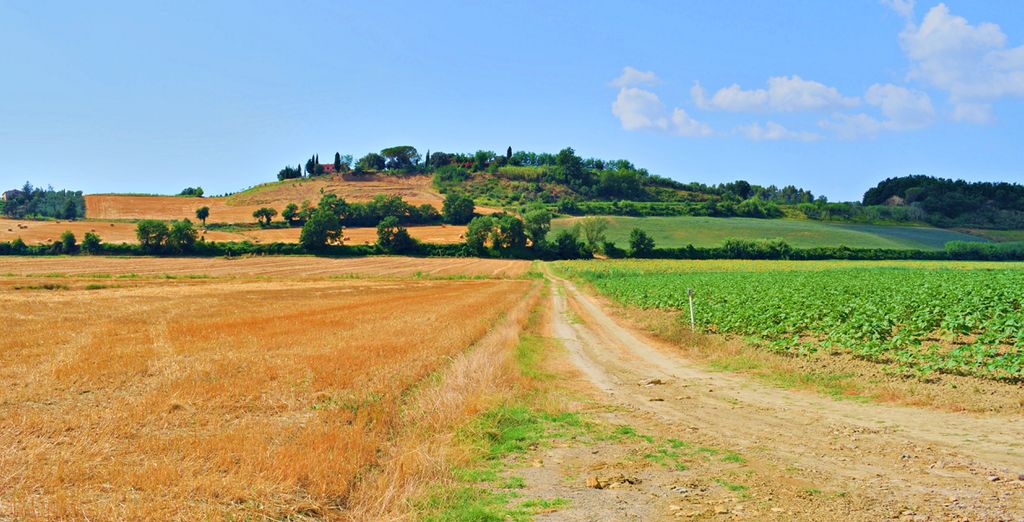 San Ruffino Resort
