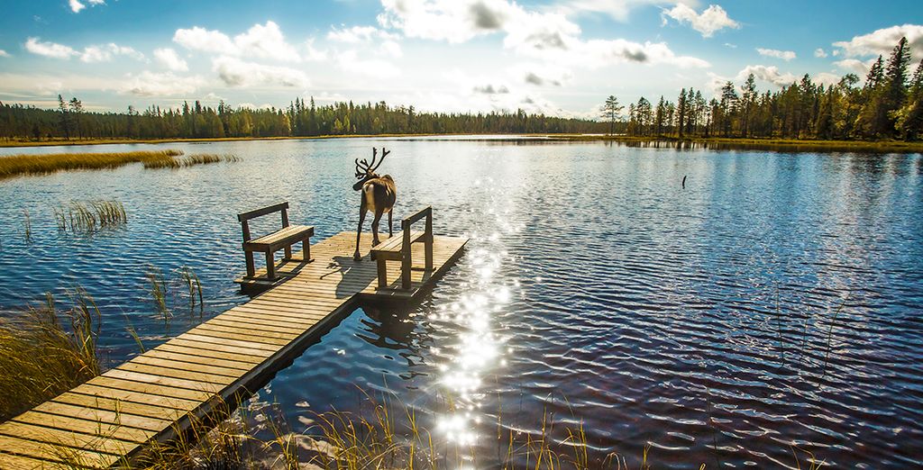 Helsinki & Programma Natura
