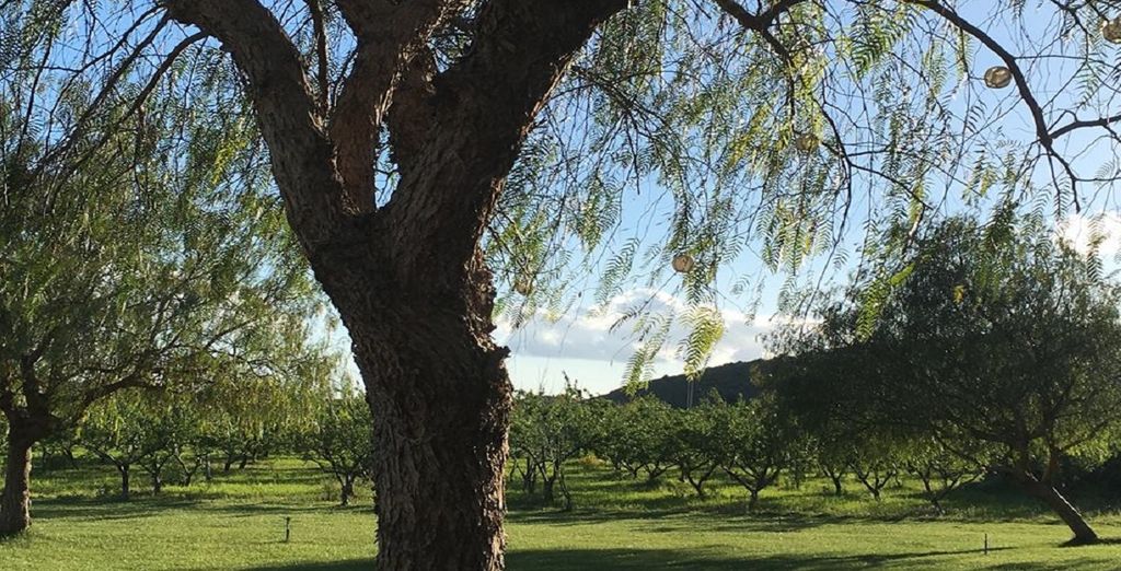 Agriturismo Colle San Mauro