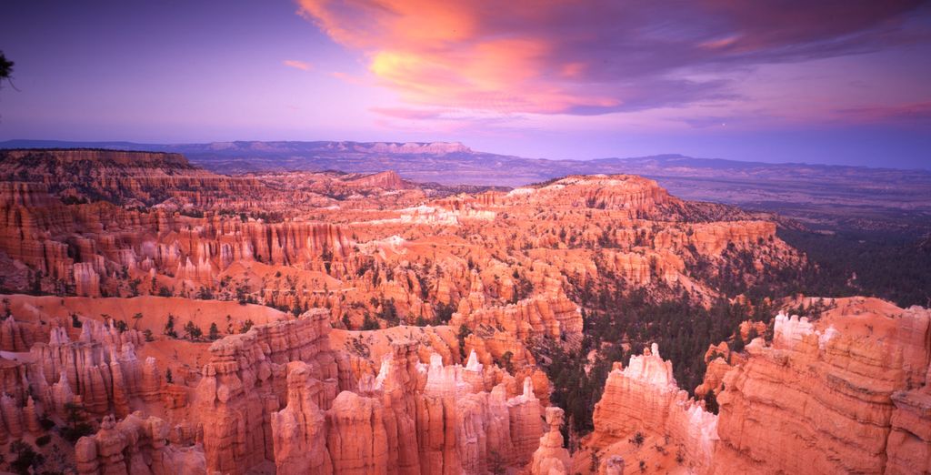 Las Vegas e i Canyon Americani 