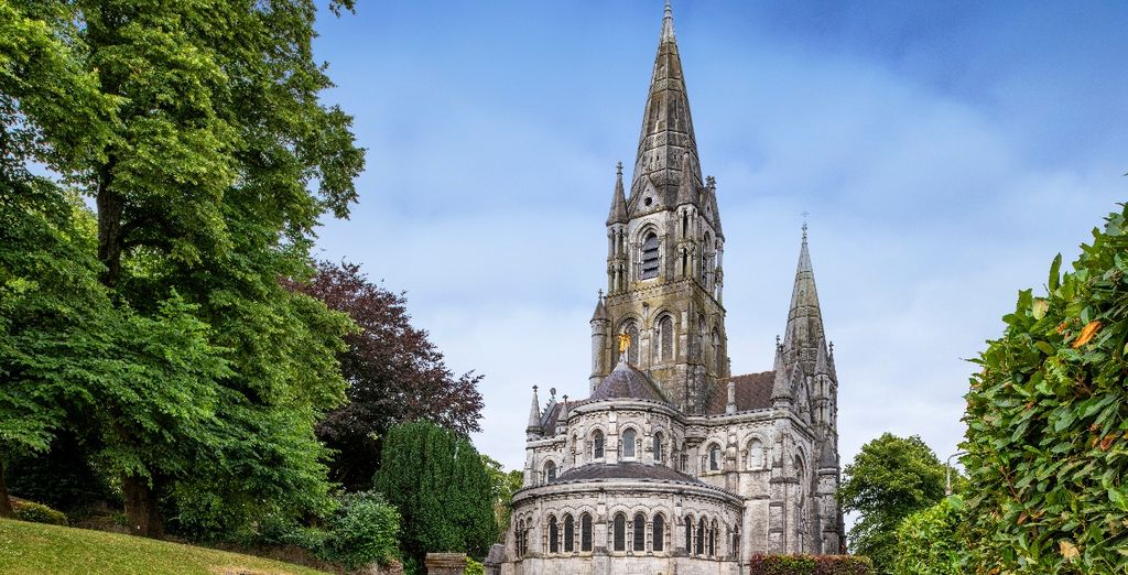 Autotour dell'Irlanda di 8 notti