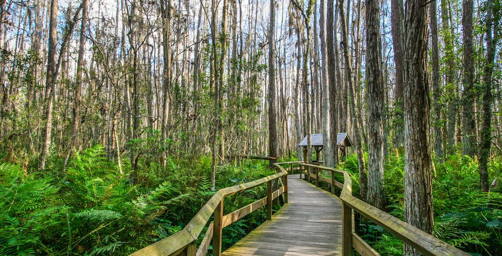 Tour alla scoperta della Florida con noleggio auto