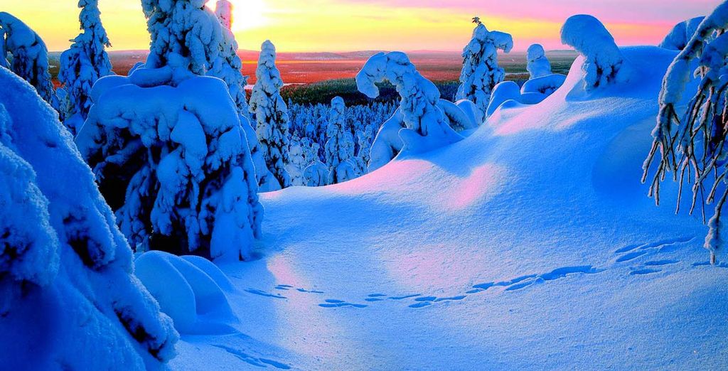 Lapponia, stelle ed Igloo