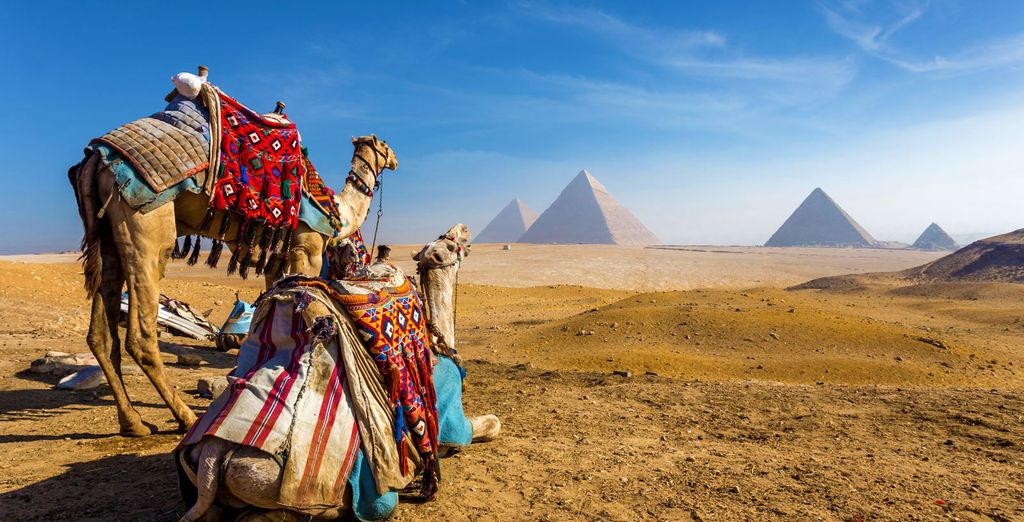 Cairo & Tour Privato lungo la valle del Nilo