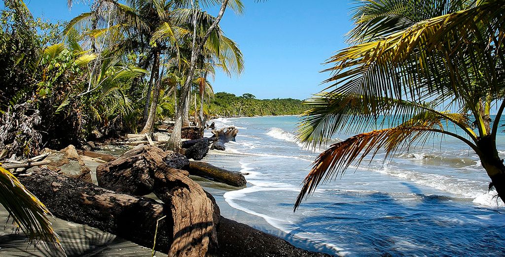 Tour 10 o 12 notti in Costa Rica + Nicaragua con noleggio auto 
