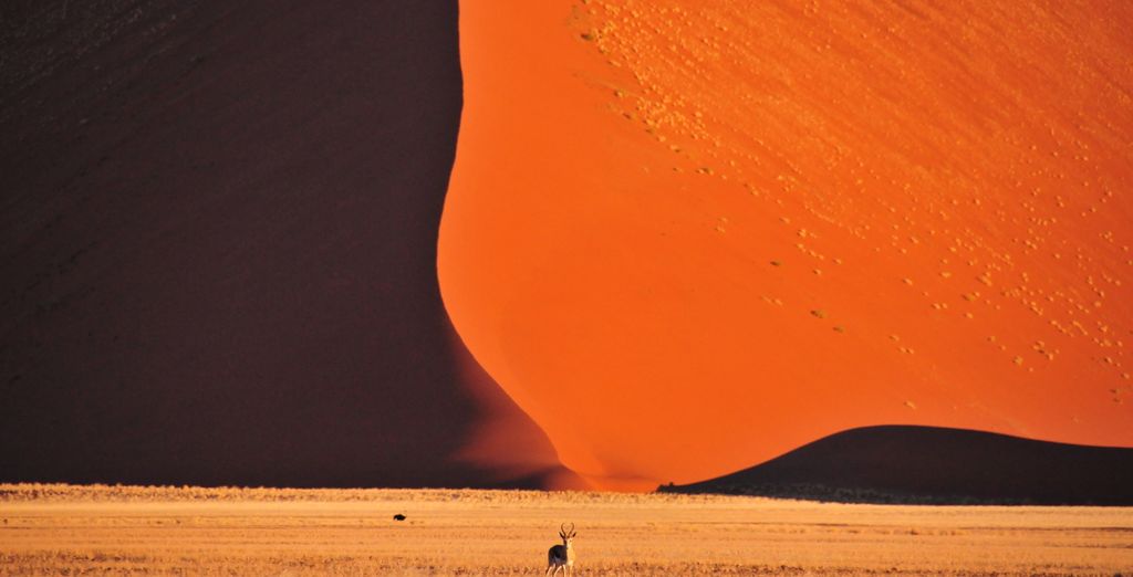 Fly& drive alla scoperta della Namibia