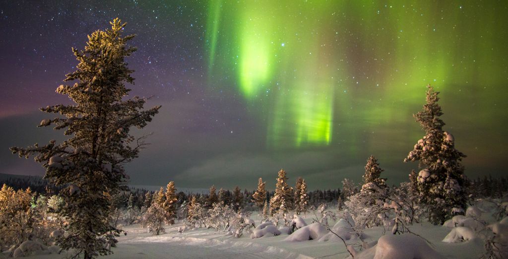 Original Sokos Hotel Presidentti 4* +  Kakslauttanen Arctic Resort 4*