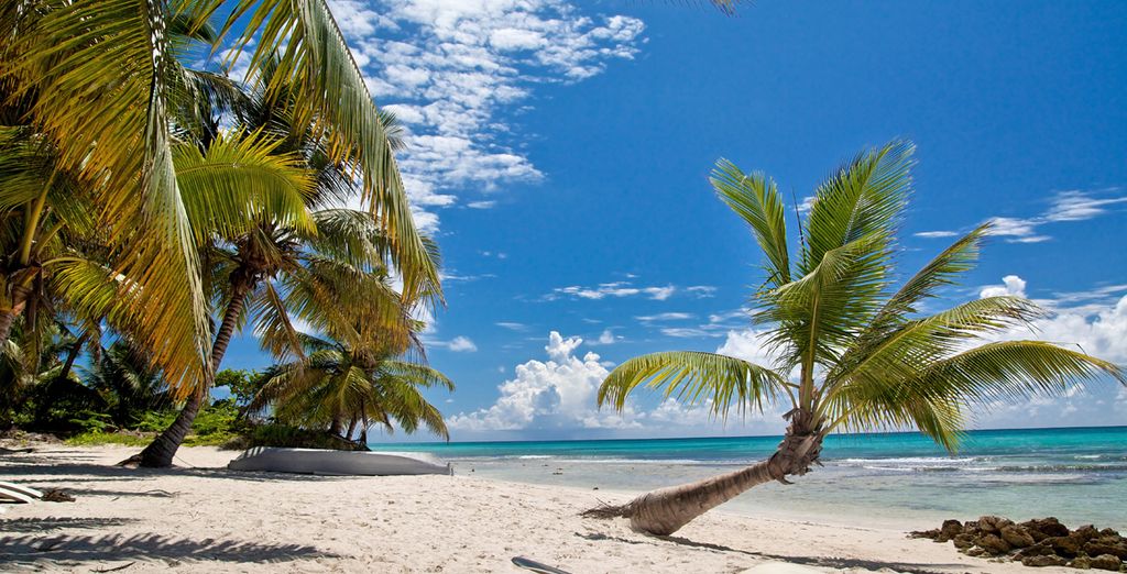 Tour di Cuba a 360°, mare, storia e natura 