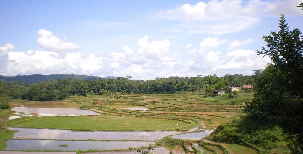 Speciale 14 agosto Pacchetto Indonesia tra Bali, Sulawesi e Giava