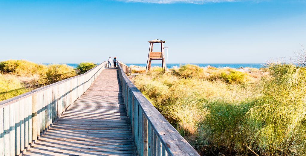 Fly & drive: Siviglia e Costa de la Luz con noleggio auto incluso