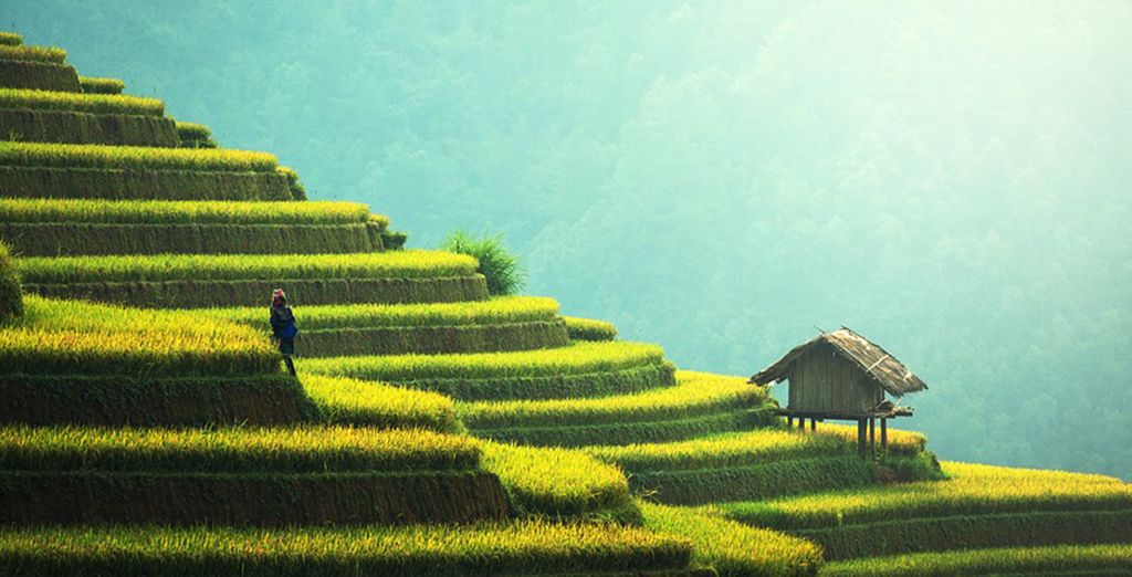 Vietnam, Cambogia e Laos - Speciale Capodanno
