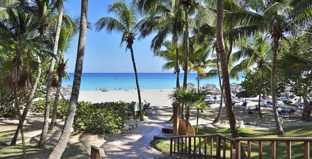 Melia Las Americas 5* - Adult only