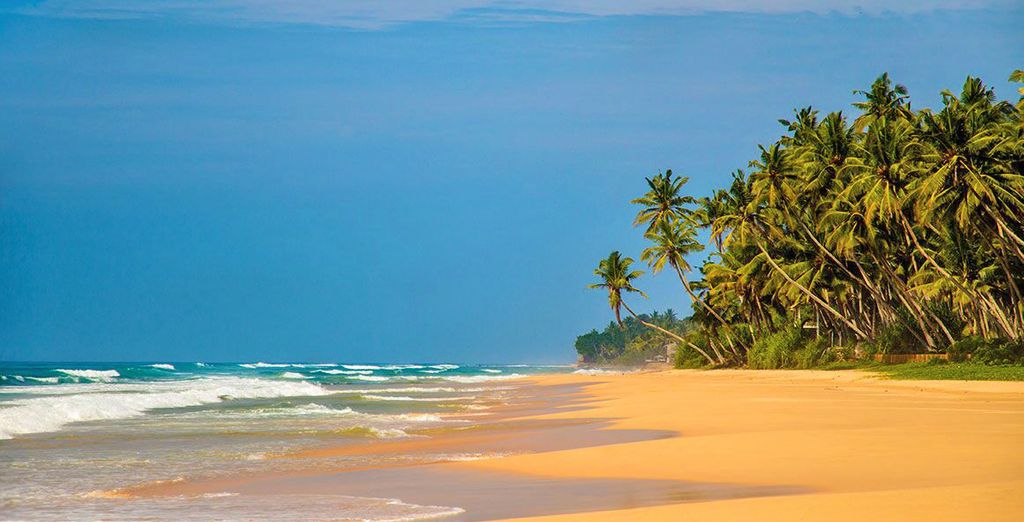 Minitour e soggiorno mare in Sri Lanka