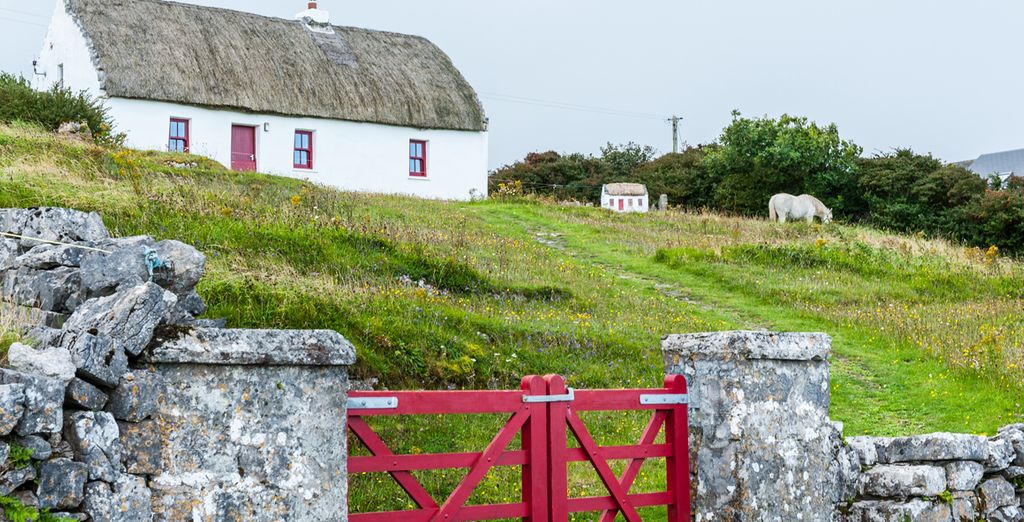 Tour dellle campagne irlandesi