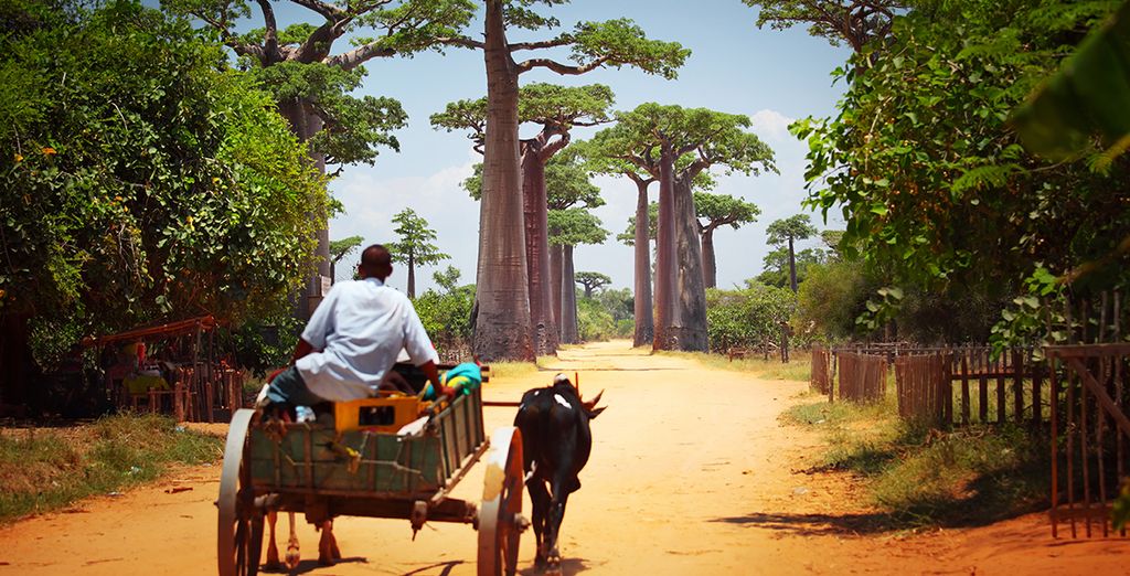 Tour e soggiorno mare nel sud del Madagascar