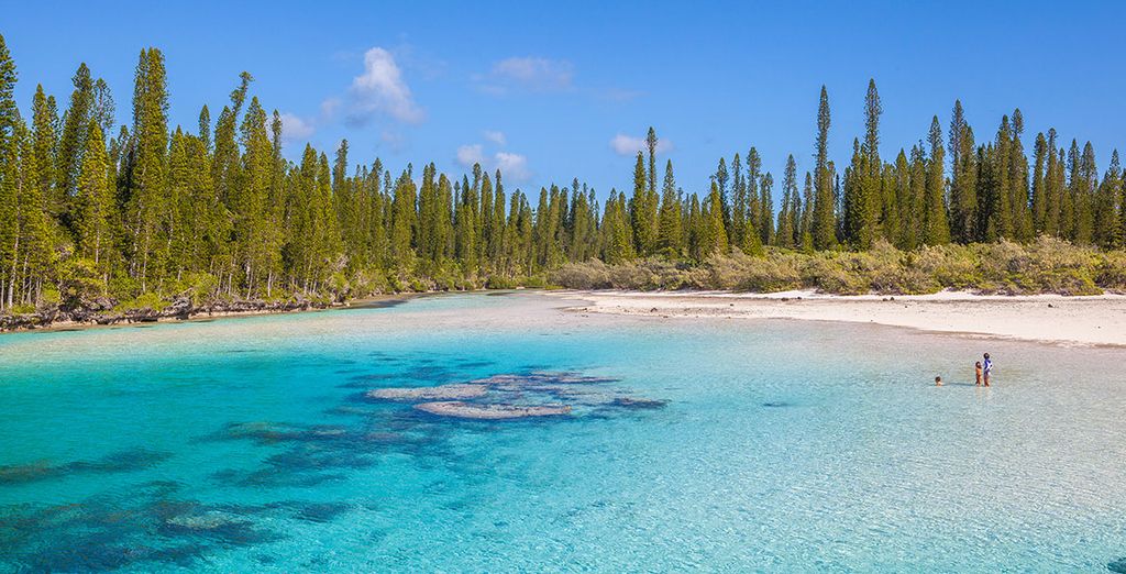 Autotour della Nuova Caledonia e dell'Isola dei Pini
