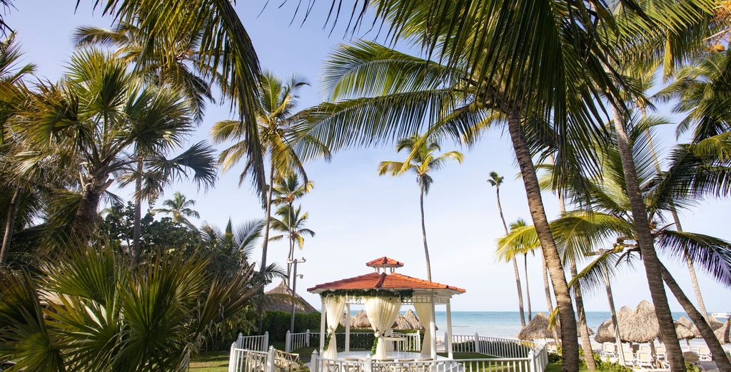 The Grand Reserve at Paradisus Palma Real 5*
