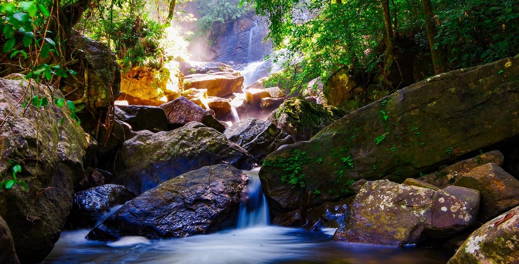 Tour dello Sri Lanka con possibile estensione mare