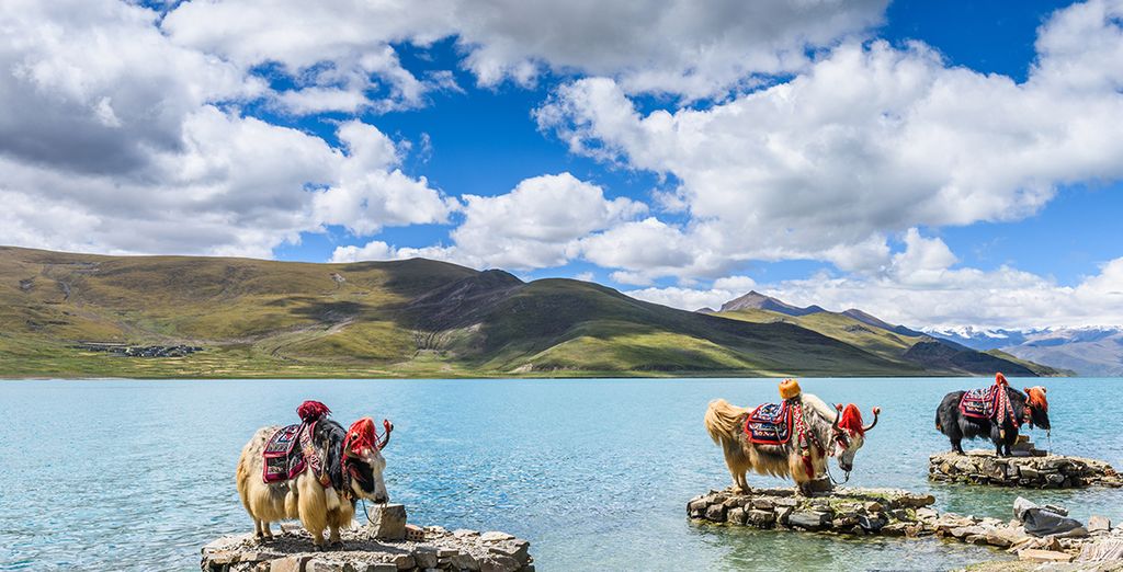 Gran Tour Cina e Tibet