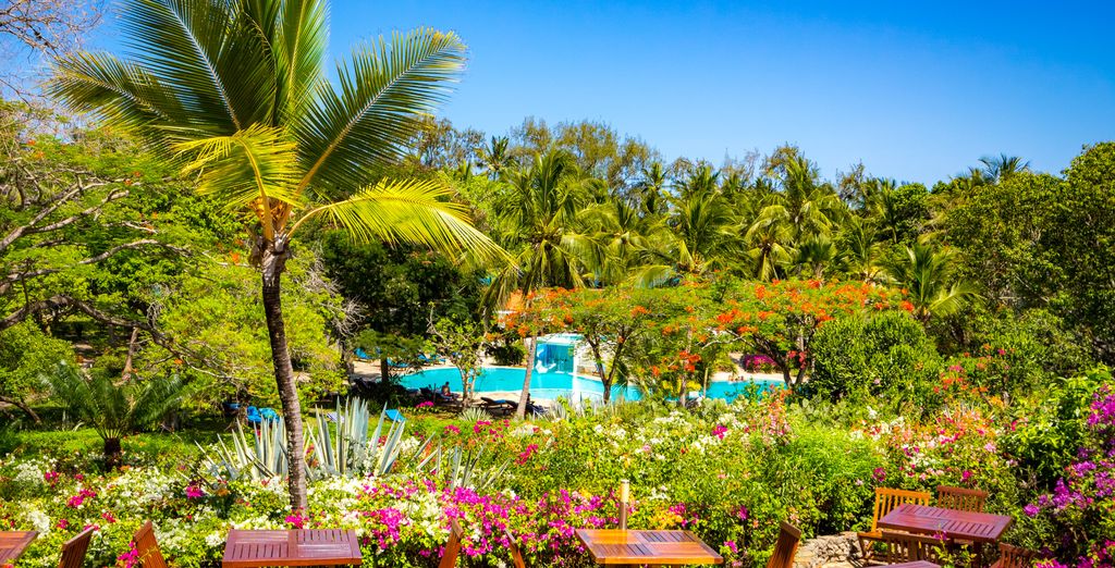 Diani Sea Resort 4* + Safari