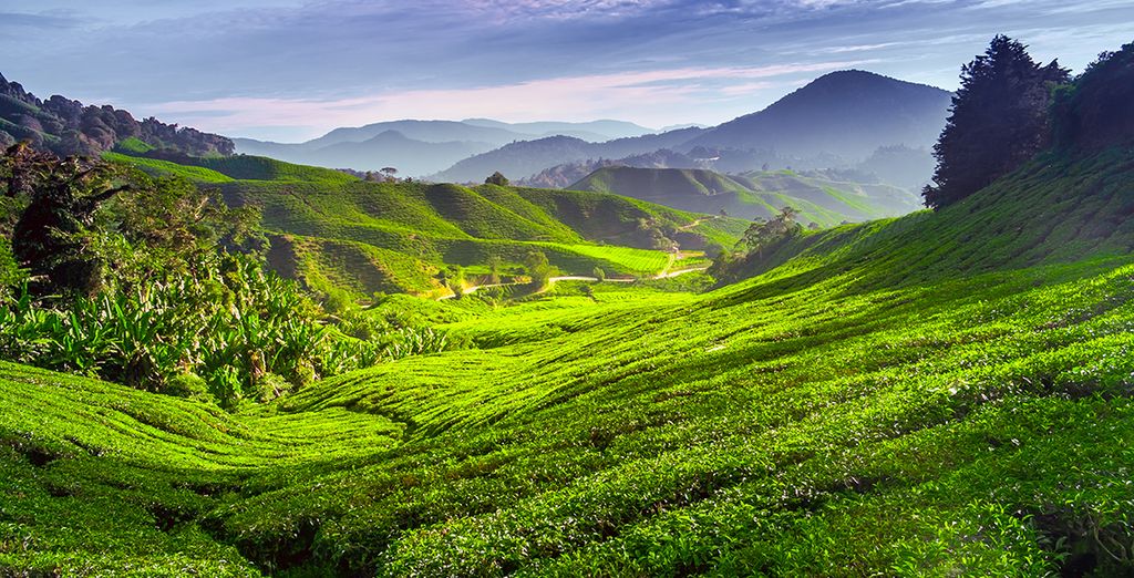 Tour Malesia + Chanalai Flora Resort Phuket
