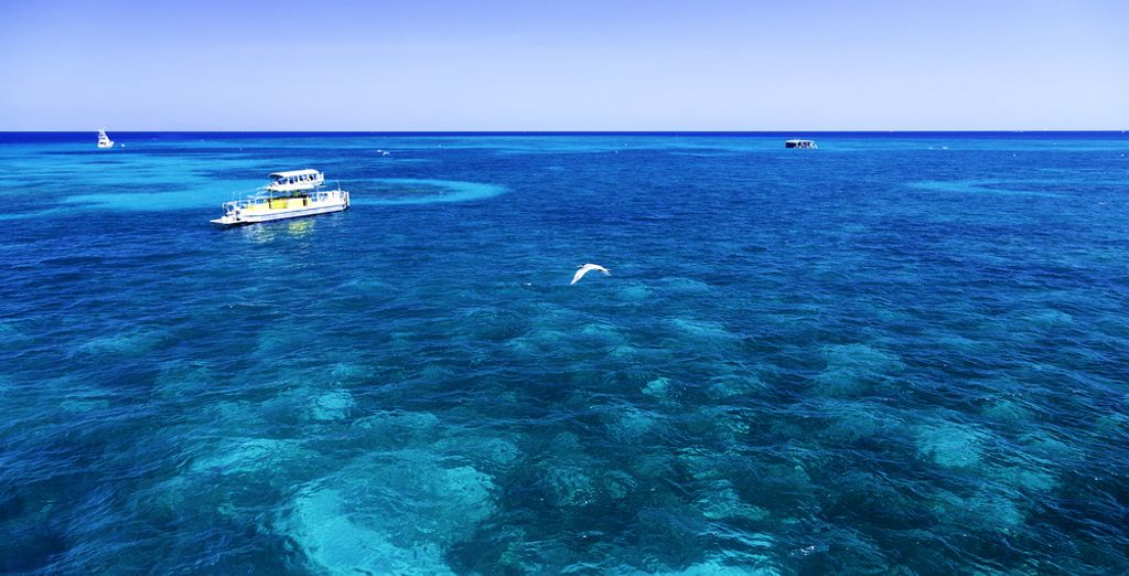 Tour Fly & Drive alla scoperta dell'Australia