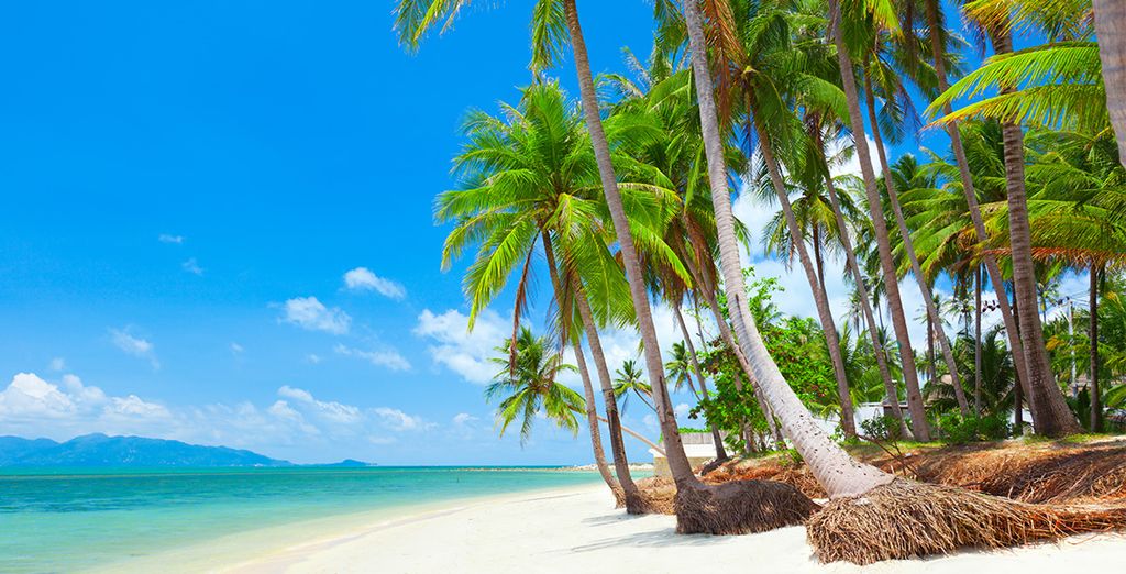 Samui Resotel Beach Resort 4* + Mandarin Hotel Bangkok 4*
