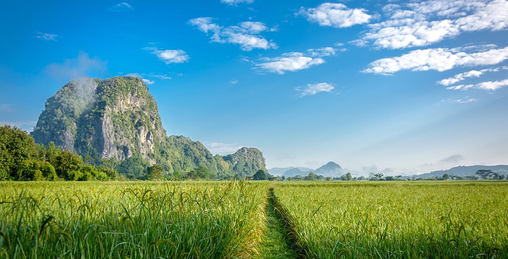 Tour privato del Kerala e soggiorno benessere Ayurvedico