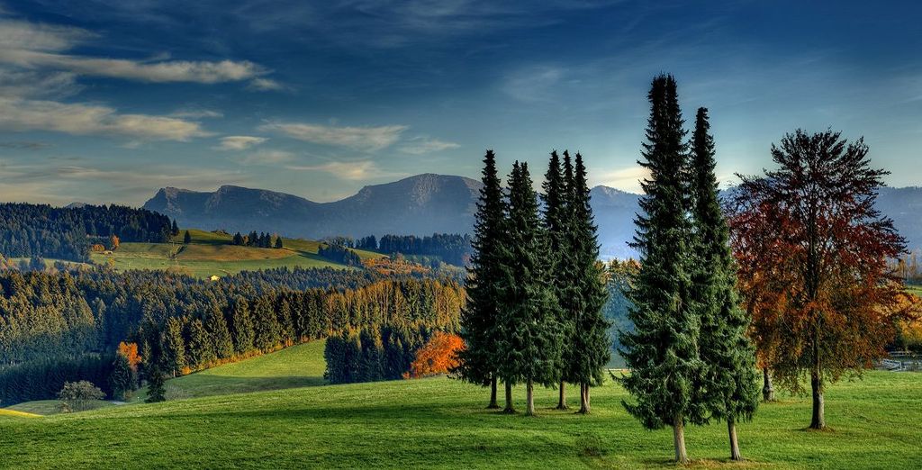 Lindner Parkhotel & Spa Oberstaufen 4*