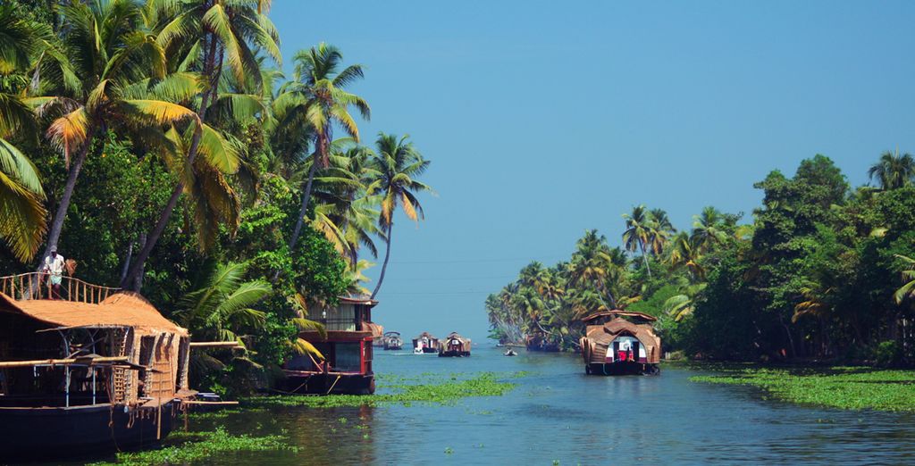 Tour privato del Kerala e soggiorno benessere Ayurvedico