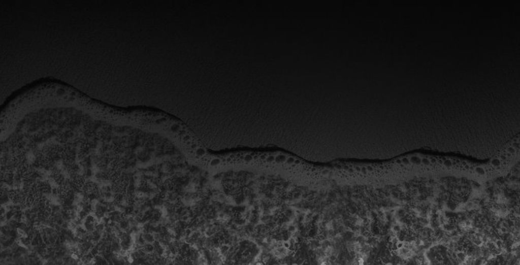 Discounts Embark Black Friday Dog Dna Black Friday Embark Dog