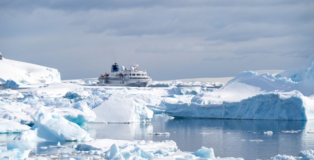 Polar Cruise at the Gateway to Antarctica – MS Seaventure