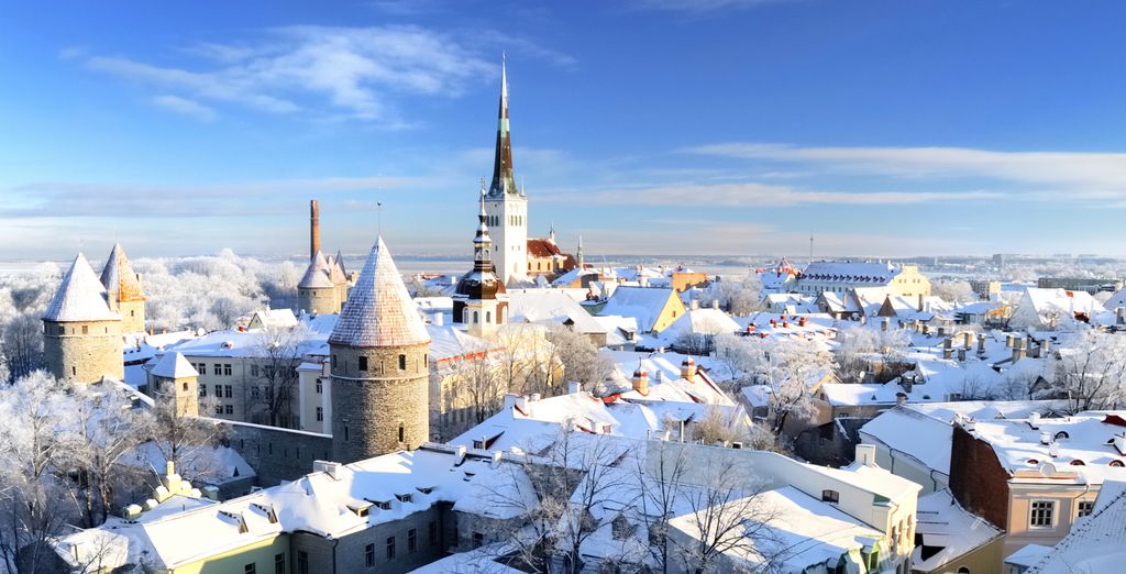 5–7 night tour: festive magic in 3 capitals
