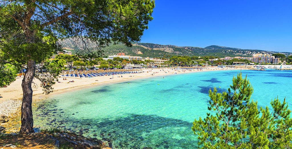 Hotel Palia Trópico Playa