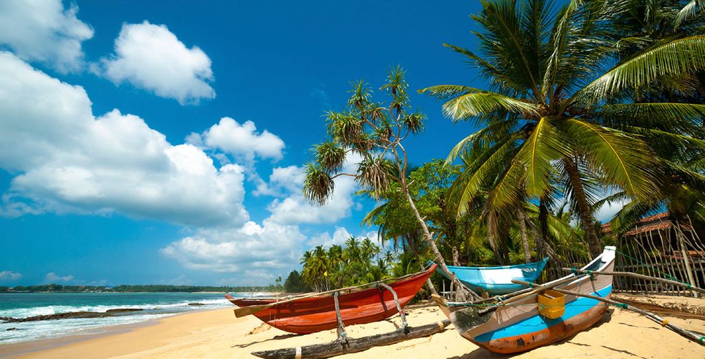 The Best of Sri Lanka Tour