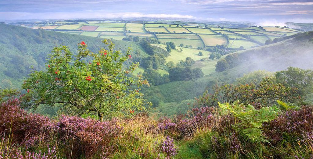 Spa wellness retreat