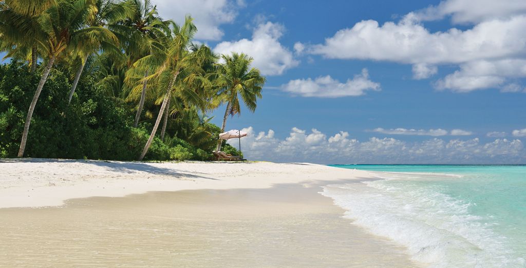 The Maldives, a real paradise on Earth