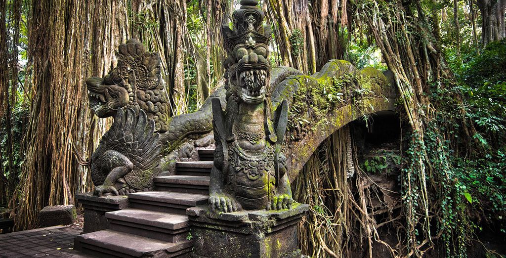 Discover the mysterious Ubud Monkey Forst in Bali