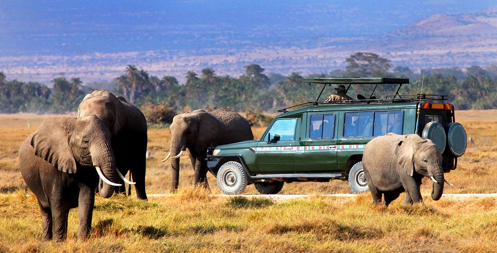 The Zubeida 4* & Safari Adventure - Mombasa - Up to -70% | Voyage Privé