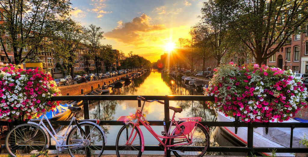 Visit Amsterdam